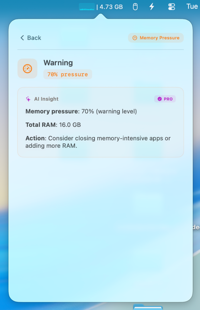 MacStats Memory Insight